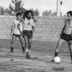 Chico Buarque, Toquinho e Bob Marley.